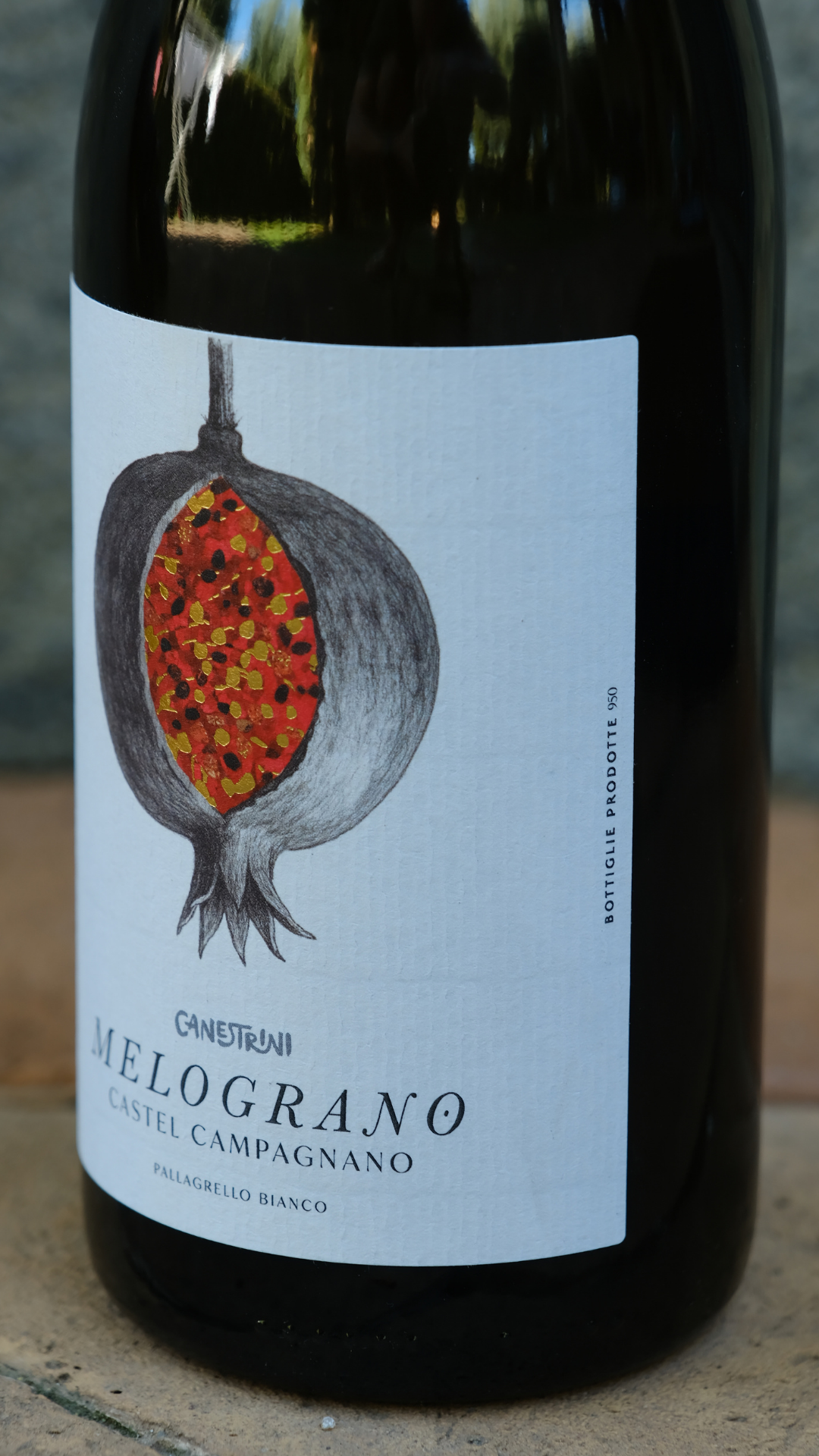 Terre del Volturno Pallagrello Bianco Melograno Canestrini 2024