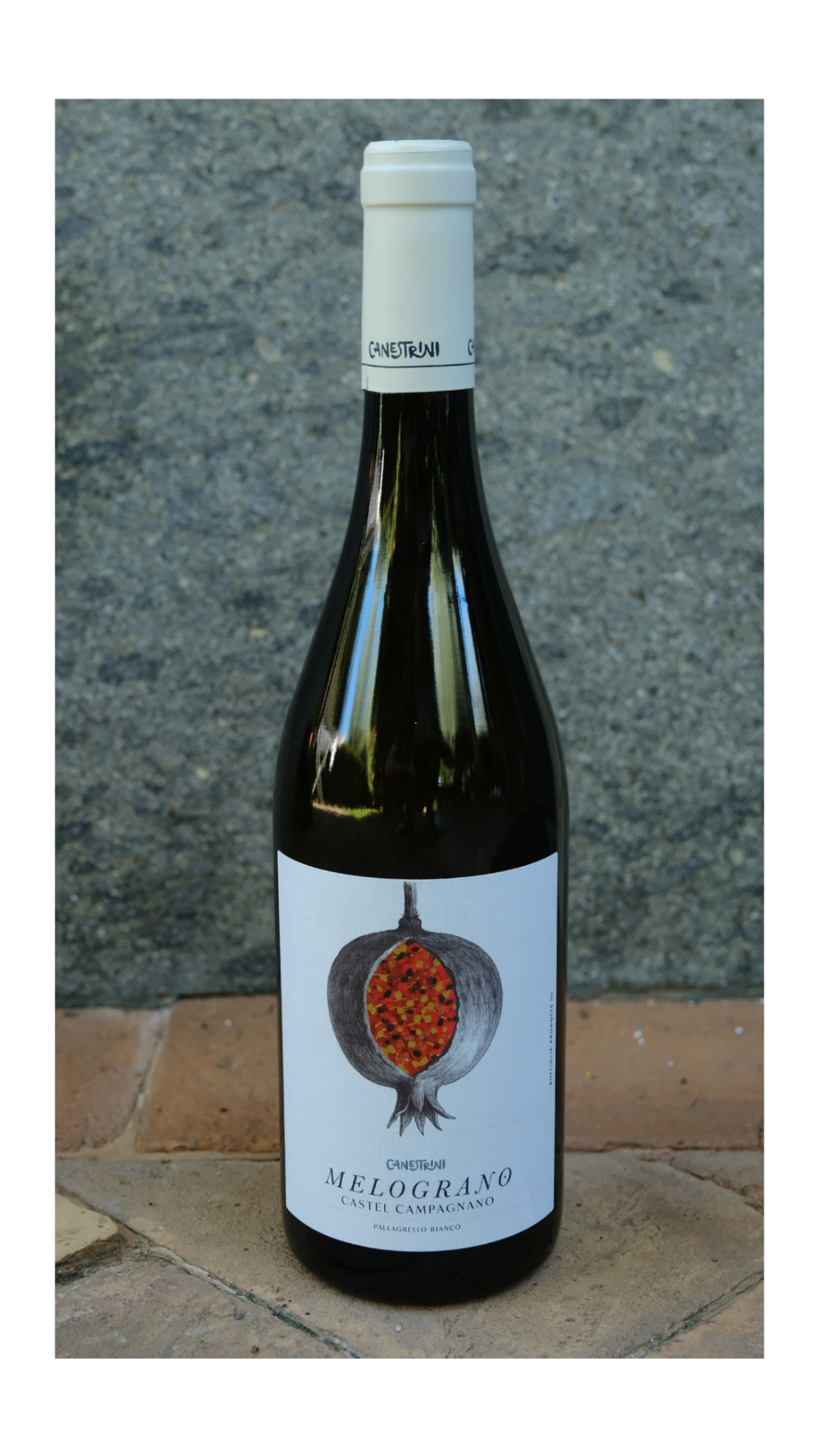 Terre del Volturno Pallagrello Bianco Melograno Canestrini 2024