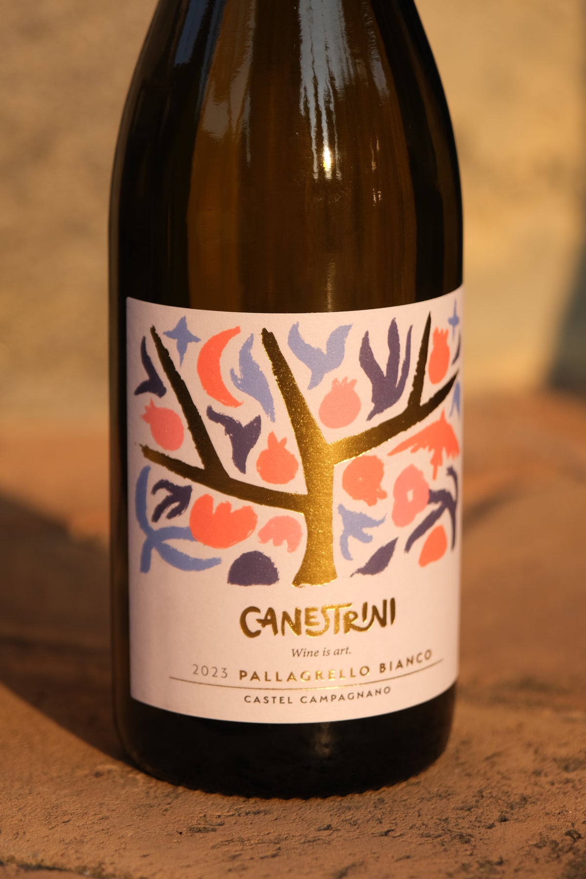 Terre del Volturno Pallagrello Bianco Canestrini 2025