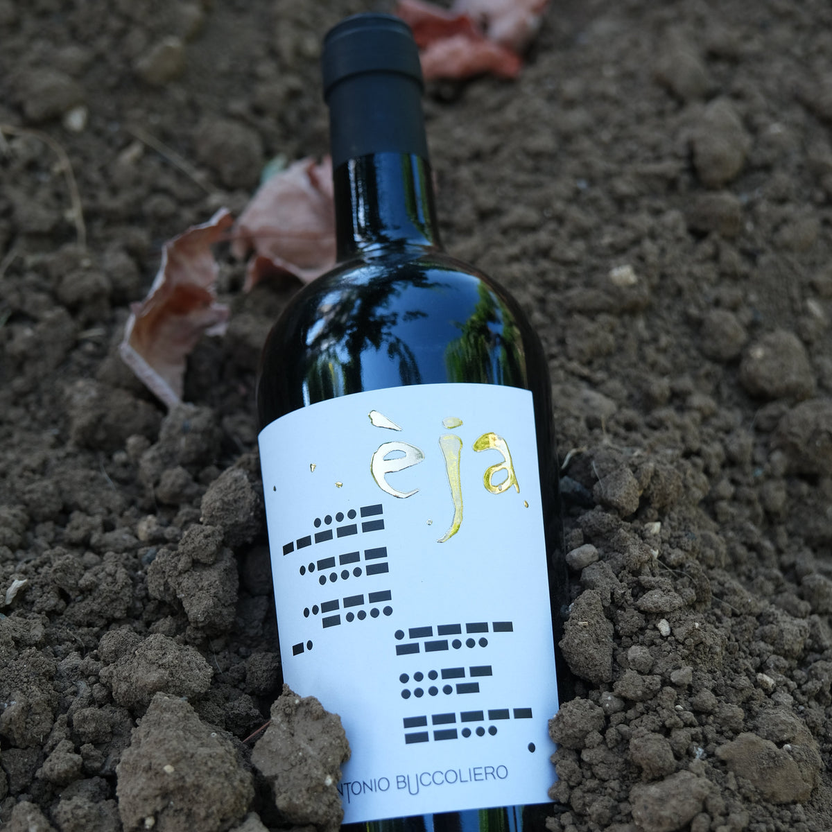 Primitivo 2022 Èja Antonio Buccoliero